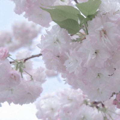 泾县FurryQQ群介绍